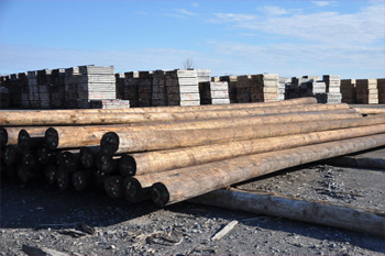 Wooden Electrical Poles